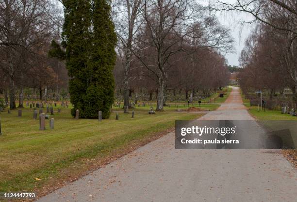 empty path - woodland cemetery stockholm foto e immagini stock