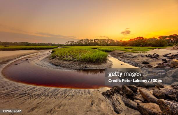 big talbot island - big talbot island florida stock pictures, royalty-free photos & images