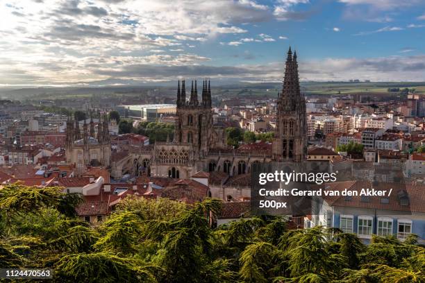 catedral de burgos - burgos stock pictures, royalty-free photos & images