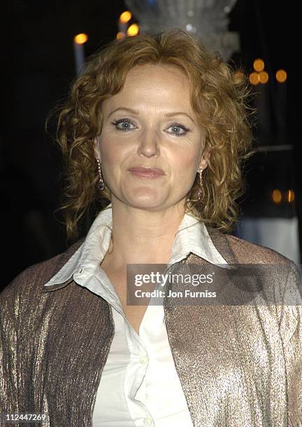 Miranda Richardson during "Harry Potter and the Goblet of Fire" London Premiere - After Party at Natral History Museum in London, Great Britain.