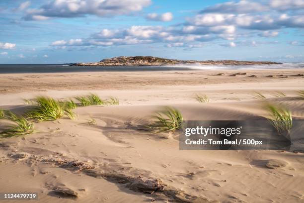 popham beach - popham beach stock pictures, royalty-free photos & images