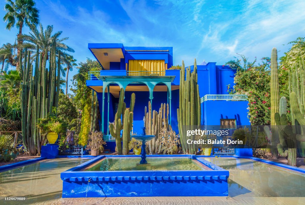 The Majorelle Garden, Marrakech