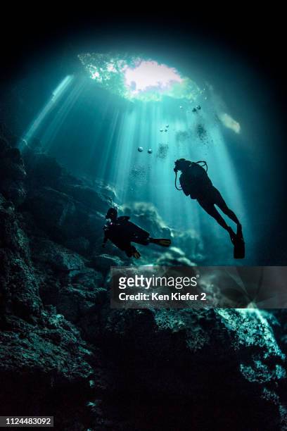 cenote cave diving, tulum, quintana roo, mexico - cenote mexico stock pictures, royalty-free photos & images
