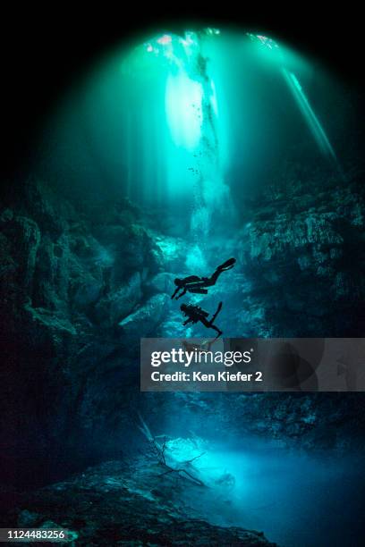 cenote diving, pit cenote, tulum, quintana roo, mexico - cenote stock pictures, royalty-free photos & images