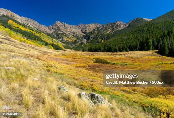 piney lake trail - near vail colorado - piney lake stock pictures, royalty-free photos & images