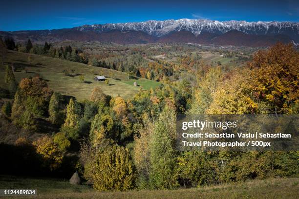 Funbata Image Fundata Photos and Premium High Res Pictures - Getty Images