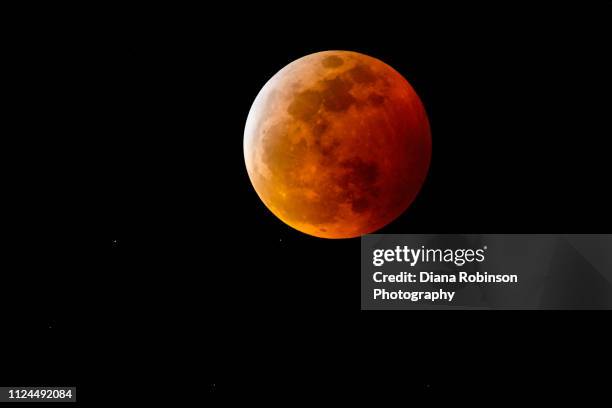 the super blood wolf moon and total lunar eclipse on january 20-21, 2019, near punta gorda, florida - eclipse lunar stockfoto's en -beelden