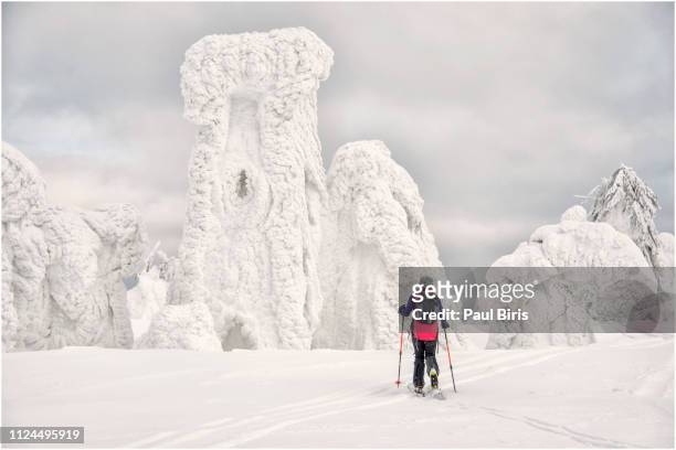ice age magic winterland, ski touring - lapónia sueca imagens e fotografias de stock