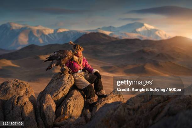 female falconer sitting on rocks with eagle and admiring dawn in mountains - mongolian women stock pictures, royalty-free photos & images