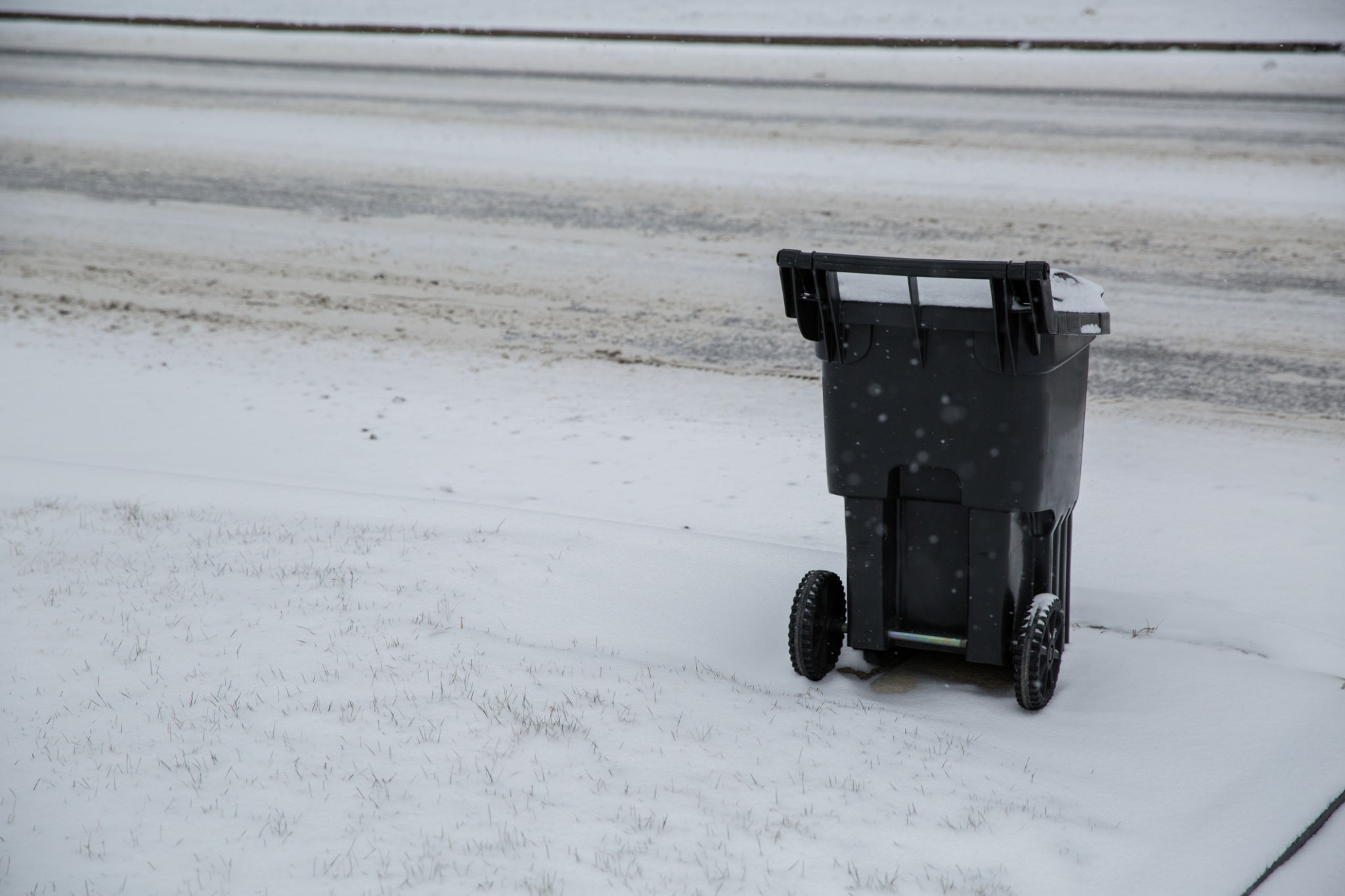 winter rubbish