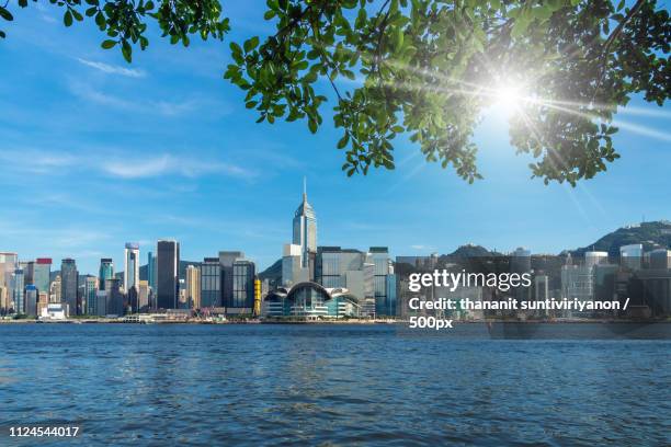 scene of hong kong cityscape river side in the afternoon with sm - lake eola stock pictures, royalty-free photos & images