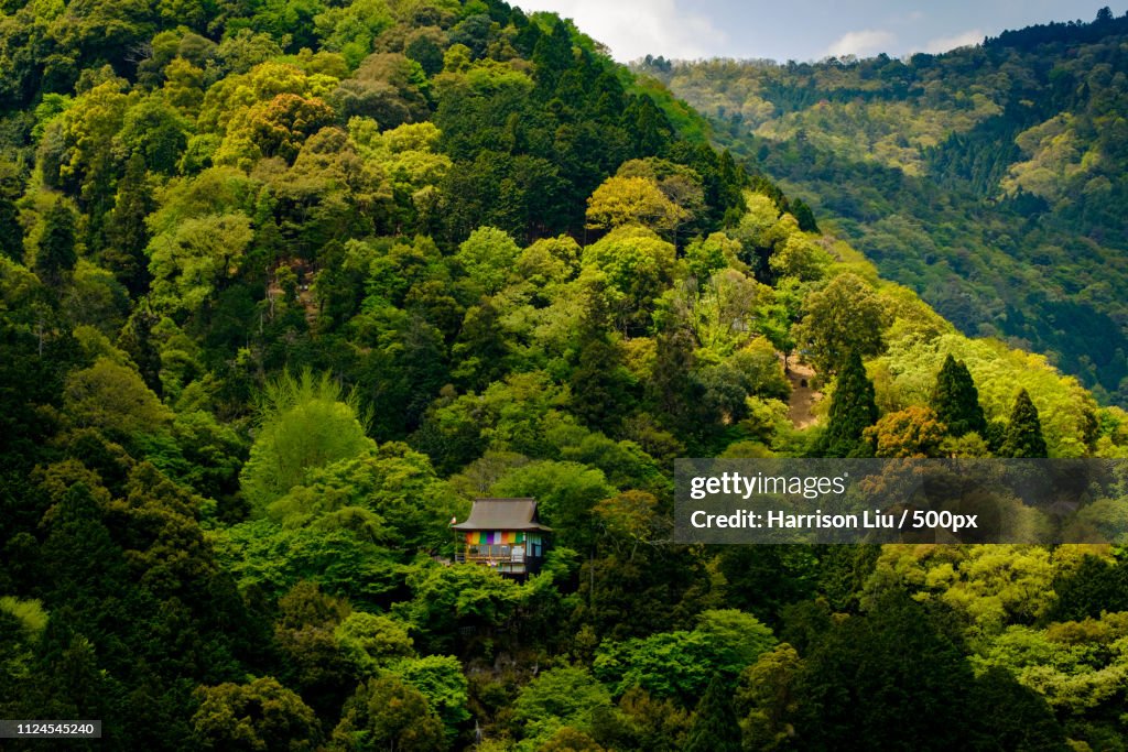 A Small Colorful Temple Nestled Amid The Trees