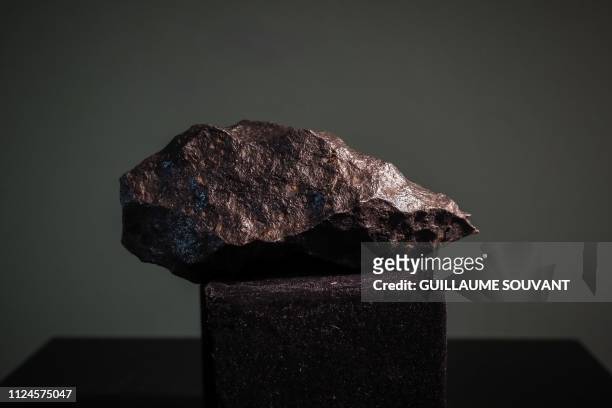Picture taken in Tours, central France on February 5, 2019 shows a Siderite meteorite, part of the French meteorite hunter Gerard Merrier's...