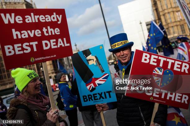 Anti-Brexit protesters demonstrate in front of the Houses of Parliament on February 13, 2019 in London, England. British Prime Minister Theresa May...