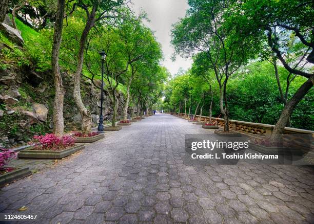 path at the park in mexico city, mexico - mexico city park stock pictures, royalty-free photos & images