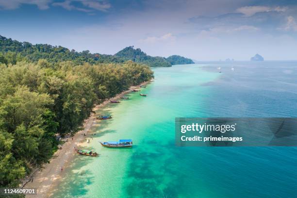 vista aérea do mar tropical praia bonita com floresta de mangue no sul da tailândia - ko samui - fotografias e filmes do acervo