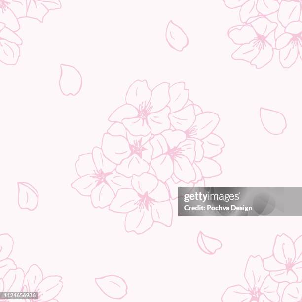 55 911点の桜 花びらのストックフォト Getty Images 55 911点の桜 花びらのストックフォト Getty Images