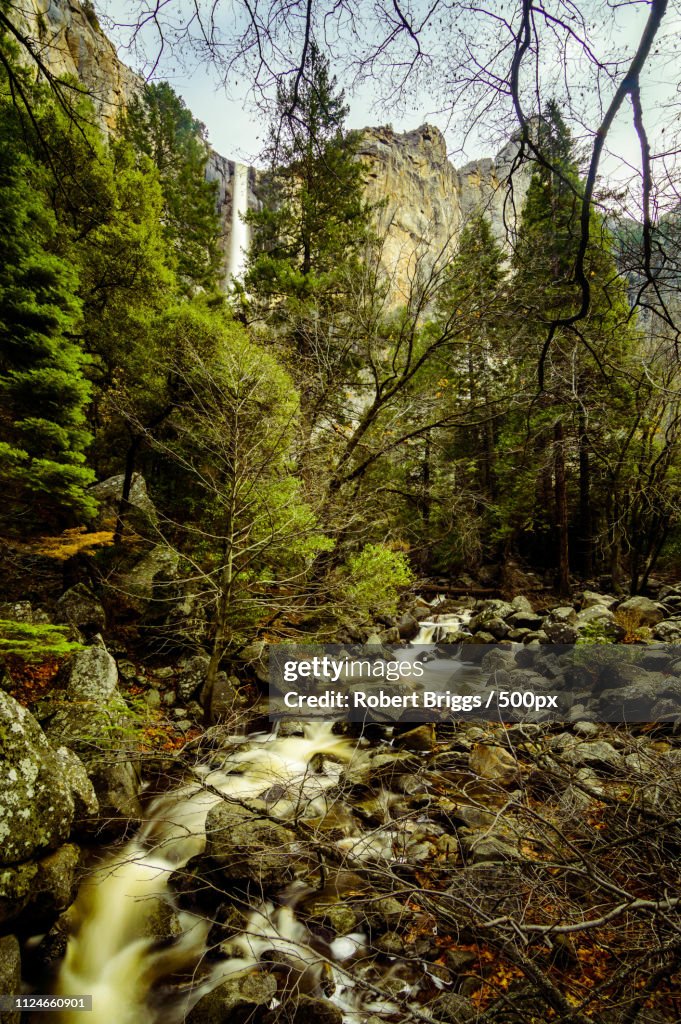 Bridalveil Falls And Creek