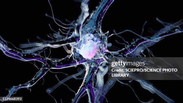 illustration of a human nerverticale cell - neural axon点のイラスト素材／クリップアート素材／マンガ素材／アイコン素材