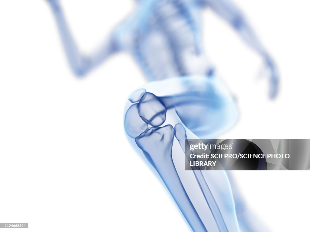 Illustration of a jogger's knee