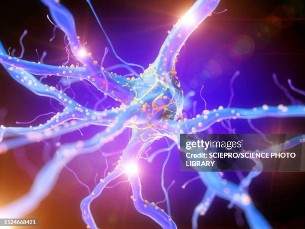 illustration of an activerticale nerverticale cell - nerve cell stock illustrations