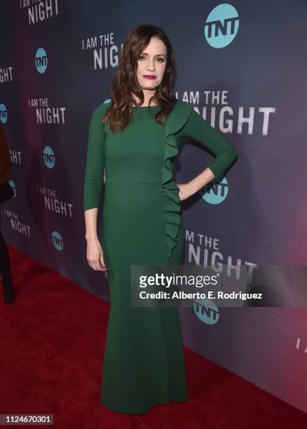 Jamie Anne Allman attends the premiere of TNT's "I Am The Night" at Harmony Gold on January 24, 2019 in Los Angeles, California.