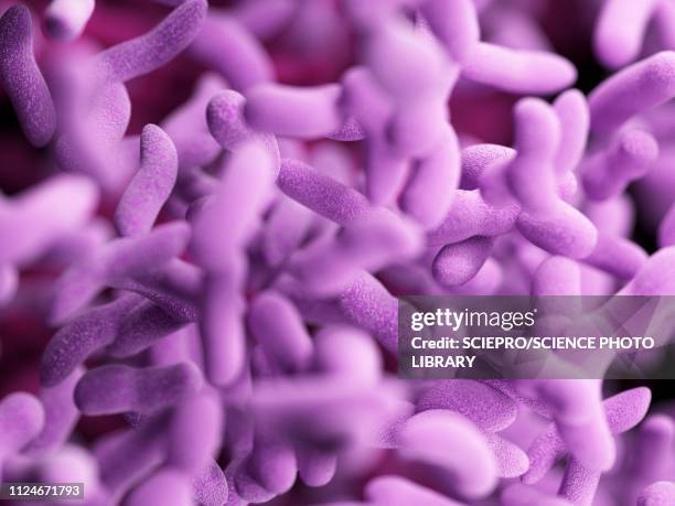 illustration of bacteria - bacillus-subtilis stock illustrations