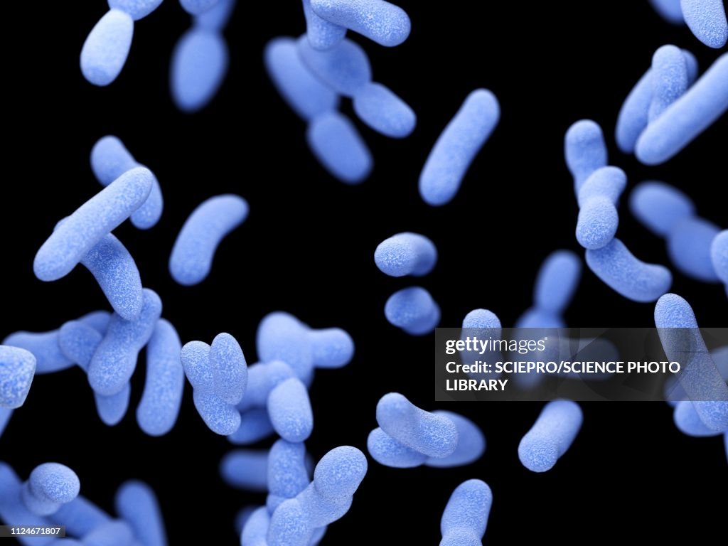 Illustration of bacteria