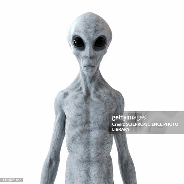 illustration of a humanoid alien - außerirdischer stock-grafiken, -clipart, -cartoons und -symbole