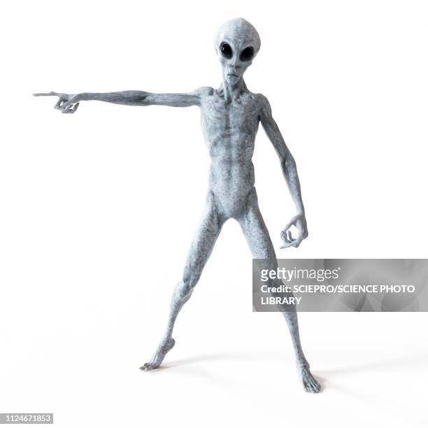 illustration of a humanoid alien - gray alien stock illustrations