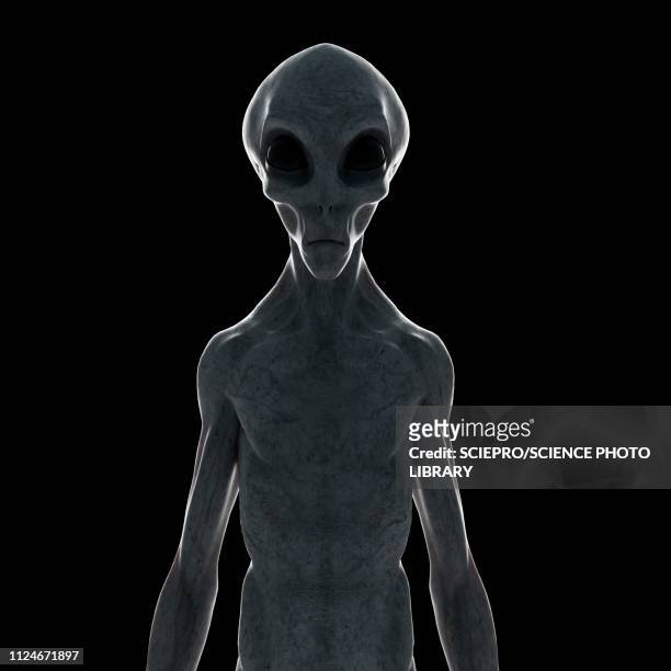 illustration of a humanoid alien - gray alien stock illustrations