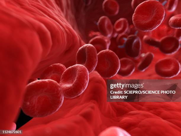 illustration of an injured artery - rotes blutkörperchen stock-grafiken, -clipart, -cartoons und -symbole