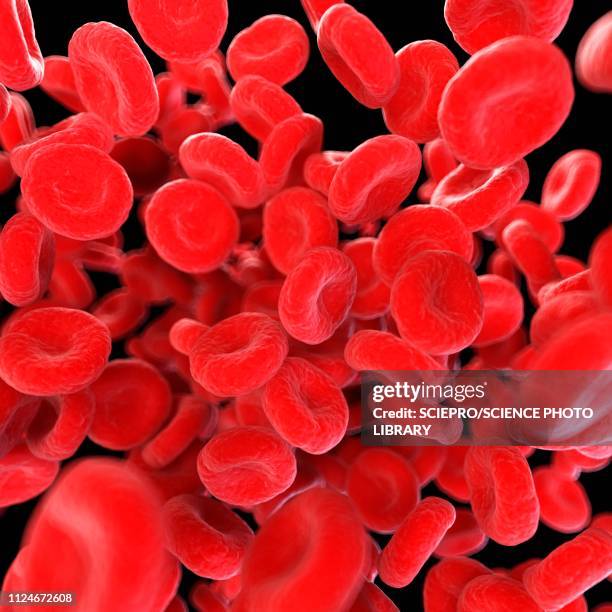 illustrazioni stock, clip art, cartoni animati e icone di tendenza di illustration of human blood cells - sangue umano