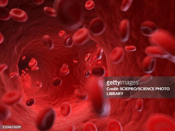 illustration of human blood cells - gefäß stock-grafiken, -clipart, -cartoons und -symbole