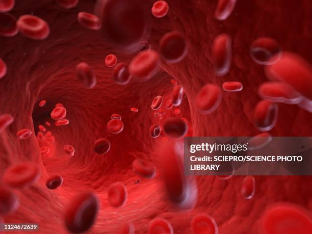 illustrazioni stock, clip art, cartoni animati e icone di tendenza di illustration of human blood cells - vaso sanguigno