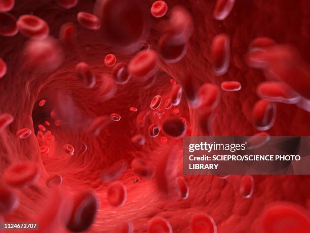 illustration of the human blood - blutzellen stock-grafiken, -clipart, -cartoons und -symbole