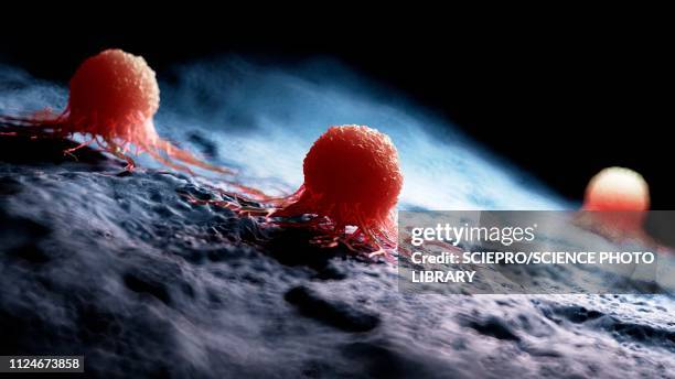 illustrazioni stock, clip art, cartoni animati e icone di tendenza di illustration of a cancer cell - cancro tumore