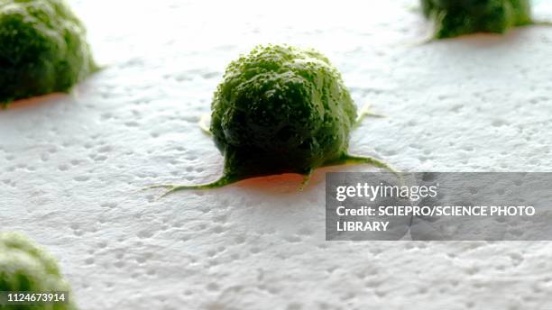 illustration of a cancer cell - leukemia stock illustrations