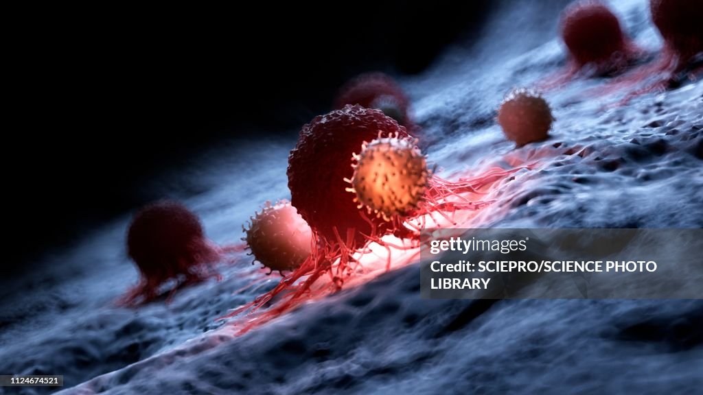 Illustration of white blood cells attacking a cancer cell