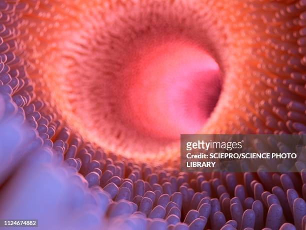 illustration of intestinal verticalilli - 腸細胞点のイラスト素材／クリップアート素材／マンガ素材／アイコン素材
