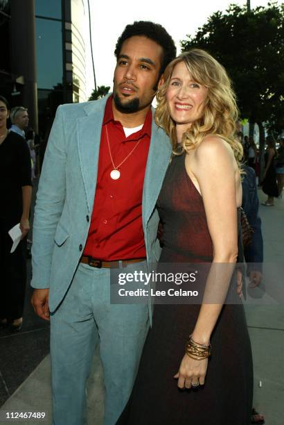 Ben Harper and Laura Dern during "We Don't Live Here Anymore" Los Angeles Premiere - Red Carpet at Director's Guild of America Theatre in Hollywood,...