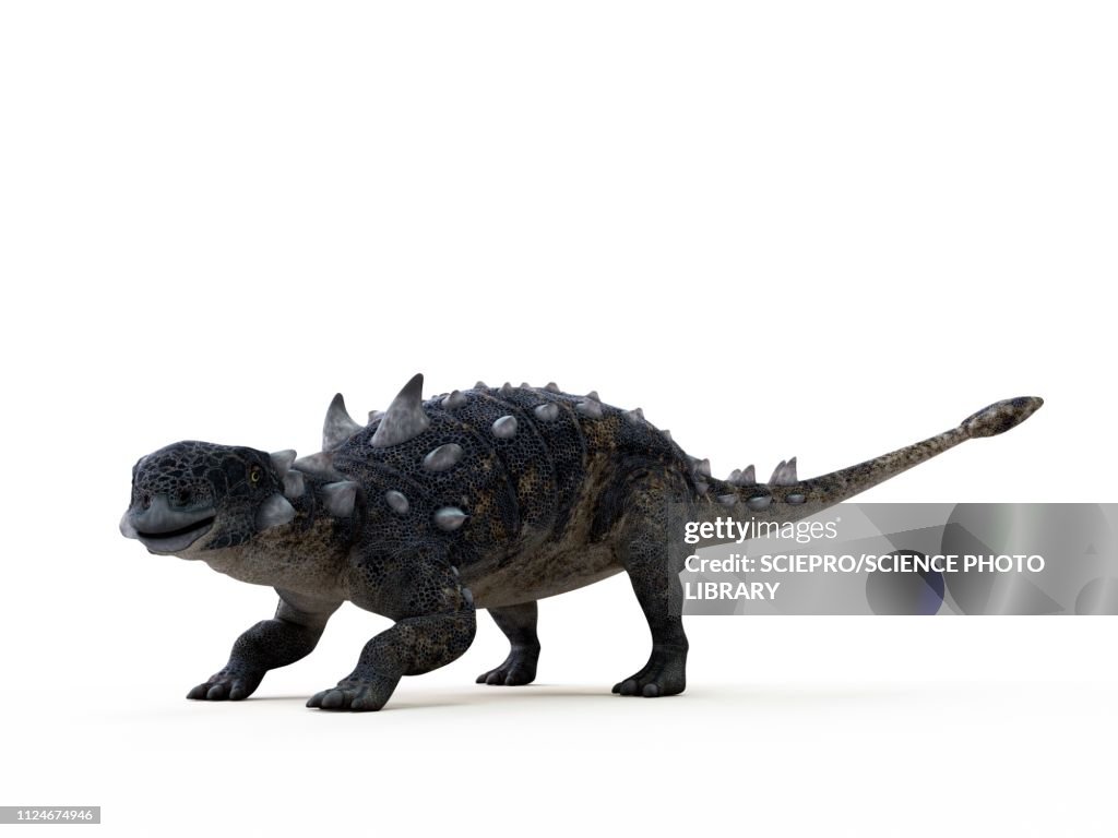 Illustration of a Euoplocephalus