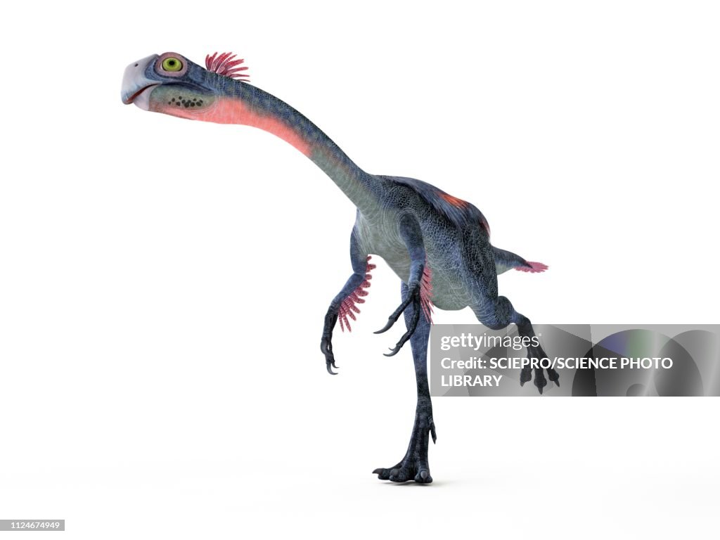Illustration of a gigantoraptor