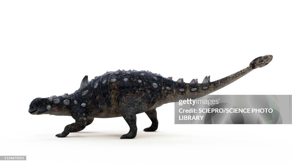 Illustration of a Euoplocephalus