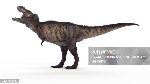 ilustrações, clipart, desenhos animados e ícones de illustration of a t-rex - tiranossauro rex