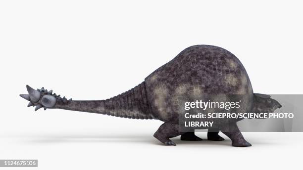 Doedicurus Model Doedicurus Photos and Premium High Res Pictures - Getty Images