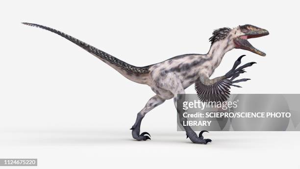 illustration of a deinonychus - raptors stock illustrations
