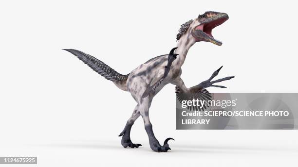 illustration of a deinonychus - deinonychus stock illustrations