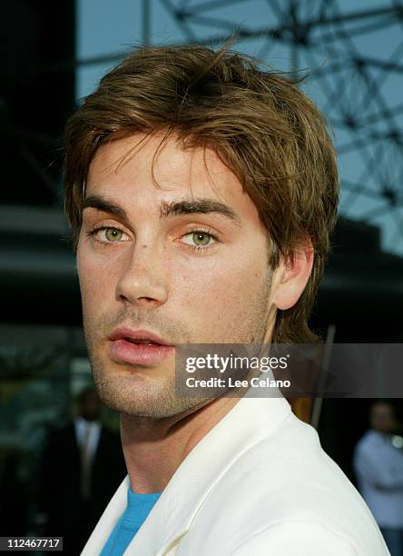 Drew Fuller during "We Don't Live Here Anymore" Los Angeles Premiere - Red Carpet at Director's Guild of America Theatre in Hollywood, California,...