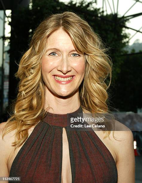 Laura Dern during "We Don't Live Here Anymore" Los Angeles Premiere - Red Carpet at Director's Guild of America Theatre in Hollywood, California,...